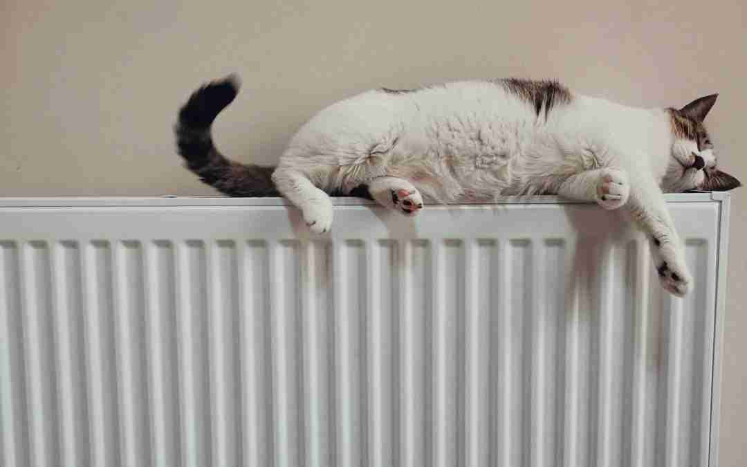 5 top tips for choosing the right central heating system
